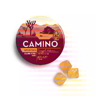 Pineapple Habanero - Uplifting [20pk] (100mg)