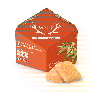 Blood Orange 1:1 CBC + Sativa Enhanced Gummies | 100mg | MI Only by WYLD