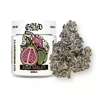 Guava Gaslato