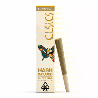 Citrus Riot [1g] by CLSICS