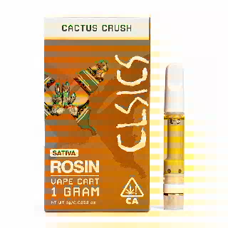 Cactus Crush by CLSICS