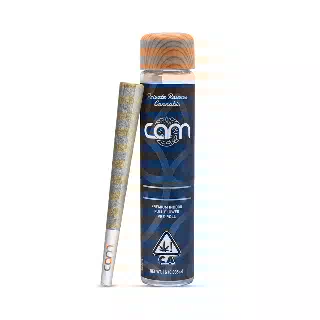 Platinum OG [1g] by CAM
