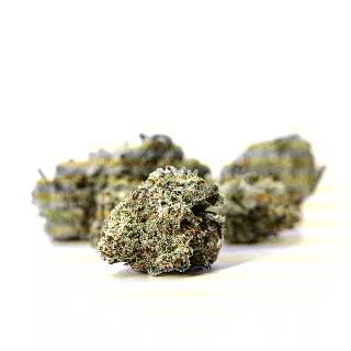Super Silver Haze