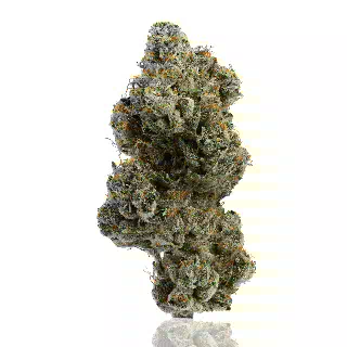 Platinum OG by CAM