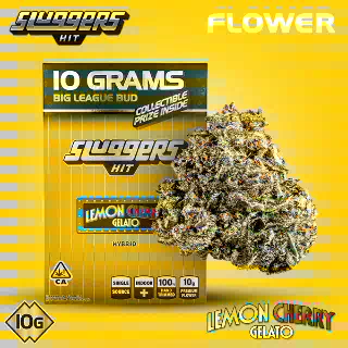 Lemon Cherry Gelato [10g] by Sluggers