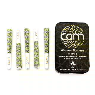 Platinum OG [.7g] by CAM