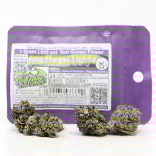 Northern Lights- Sun Grown Flower by Eighth Brother