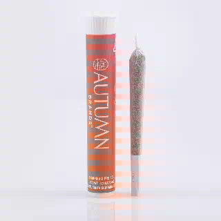 Kinda Chic [1g] by Autumn Brands