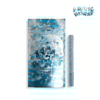 Arctic Burst [1g] by Seed Junky Genetics