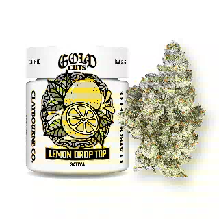 Lemon Drop Top