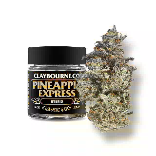 Pineapple Express - Classic Cuts by Claybourne