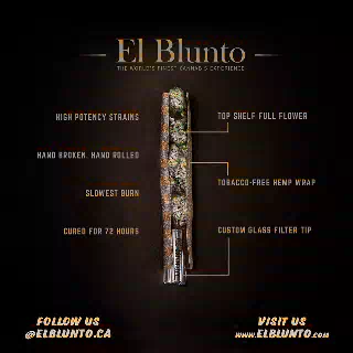 El Blunto - Amarilla [1.5g]
