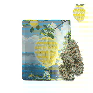 Lemon Fruz