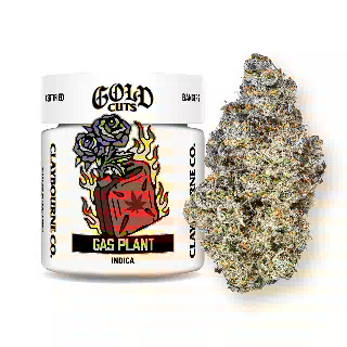 Gas Plant- Gold Cuts Ultra Premium Flower