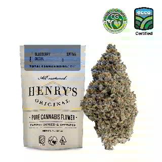 Blueberry Diesel
